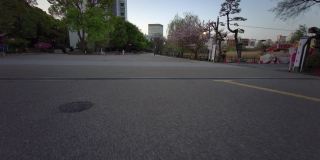 东京上野安石公园清晨骑行2021年4月