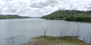 巴西戈亚斯州戈尼亚的环境保护区和水资源保护区