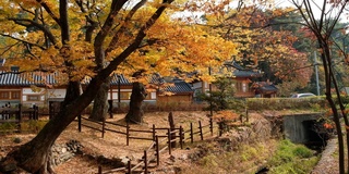 韩国首尔恩平韩屋村的秋天