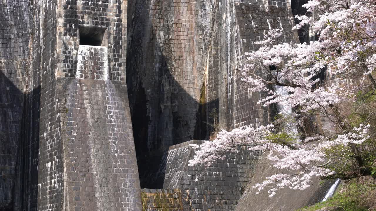 这是香川县加农寺市历史悠久的法能塘大坝的录像