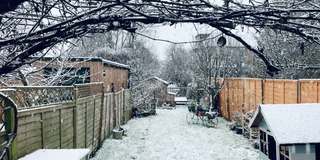 伦敦郊区住宅后花园飘落的雪花