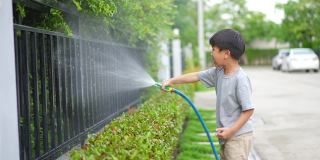 孩子在家给树浇水。生态环境概念