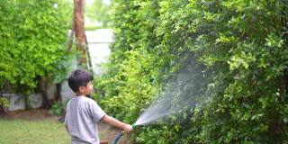 孩子在家给树浇水。生态环境概念