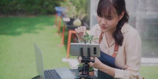 年轻的亚洲女性使用笔记本电脑和手机进行直播销售仙人掌小树