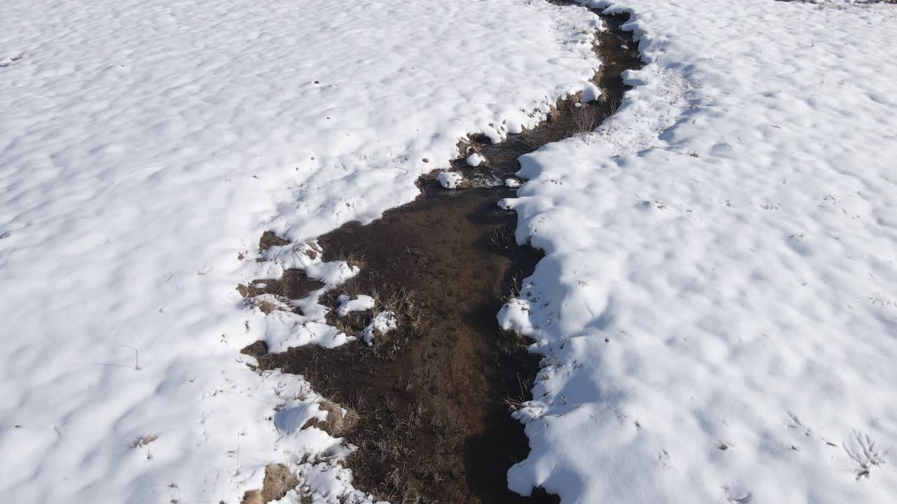 冬天，在松林中，空中盘旋在蜿蜒的河床上。在山上滑雪度假。