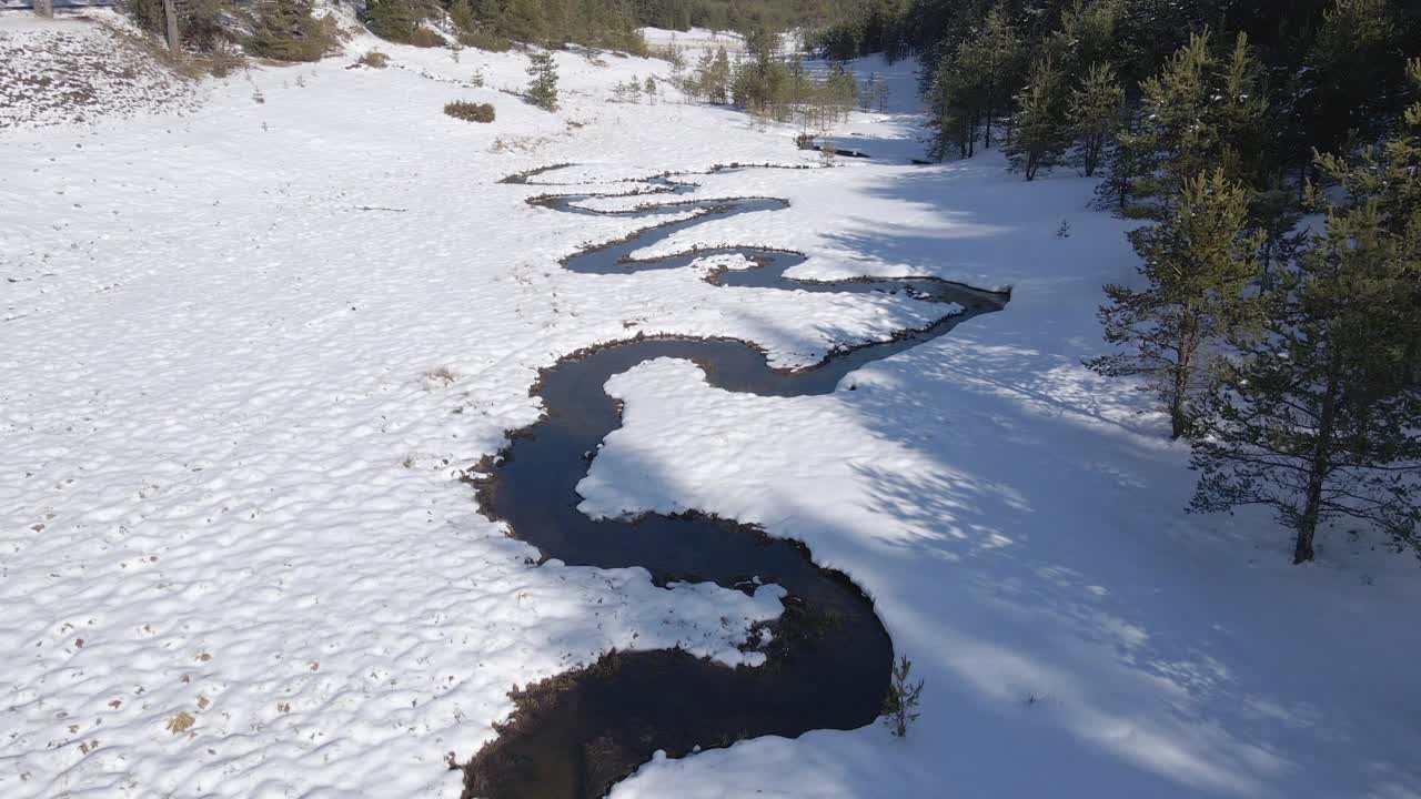 冬天，在松林中，空中盘旋在蜿蜒的河床上。在山上滑雪度假。