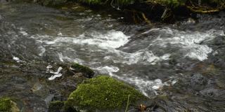 小溪中流动的水的特写