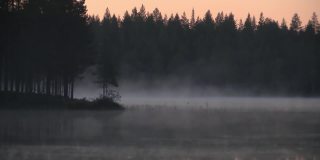 芬兰的荒野湖-有雾的早晨