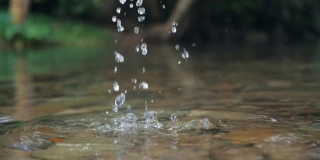在森林、河流或湖泊中用手舀淡水。
