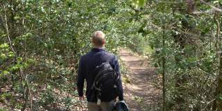 让徒步旅行者走在森林的小上坡路上