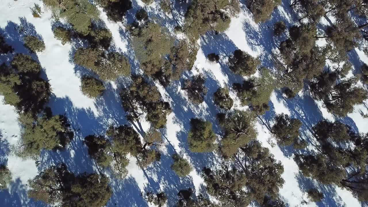 鸟瞰图阿特拉斯山脉与森林在冬天