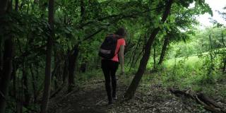 中年美女徒步在树林中，走出森林到平原慢动作4k视频