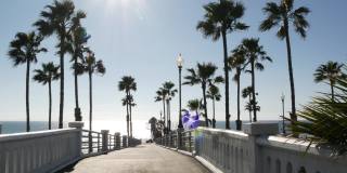 棕榈树和码头，热带海滩，夏天的加州海岸，阳光灿烂的一天美国。耀眼的太阳