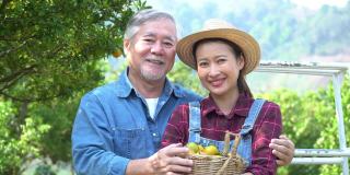 年长的男子和年轻的亚洲妇女农民，快乐的农民家庭农业，在收获橘子田的农产品后，站在一棵橘子树附近。家族企业的概念