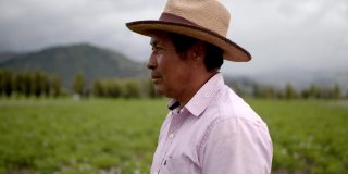 拉丁美洲的一位农民看向别处，然后愉快地面对镜头，微笑着看着一个土豆收获的田地