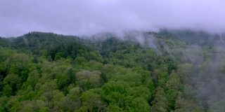 空中拍摄的烟雾山附近的森林上空的雾