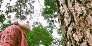 雨林里，一个快乐的女人站在一棵老树旁，用爱和微笑拥抱着。地球日和不砍伐森林的概念。