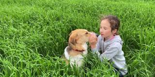 4k小可爱的女孩亲吻和拥抱她的狗在绿色的高草地上。