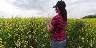 一位年轻的女农民走进一片油菜地，用移动平板电脑检查植物的质量。农产品收获的概念框架。油菜籽领域