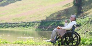 亚裔老人坐在轮椅上在公园里看书
