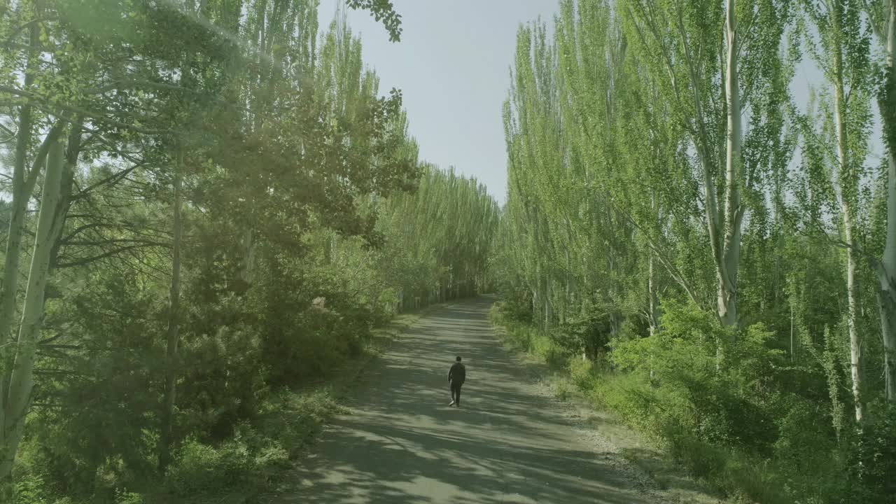 后视镜:西装革履的人独自穿过森林或花园的树木。孤独的男孩走在林间的小径或人行道上，林间有高大的绿树。缓慢的运动。无人机
