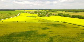 春季农村油菜籽田的Arial视图。村舍以油菜植物为背景。