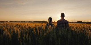 两名农民，一男一女，正期待着麦田里的日落。团队合作在农业