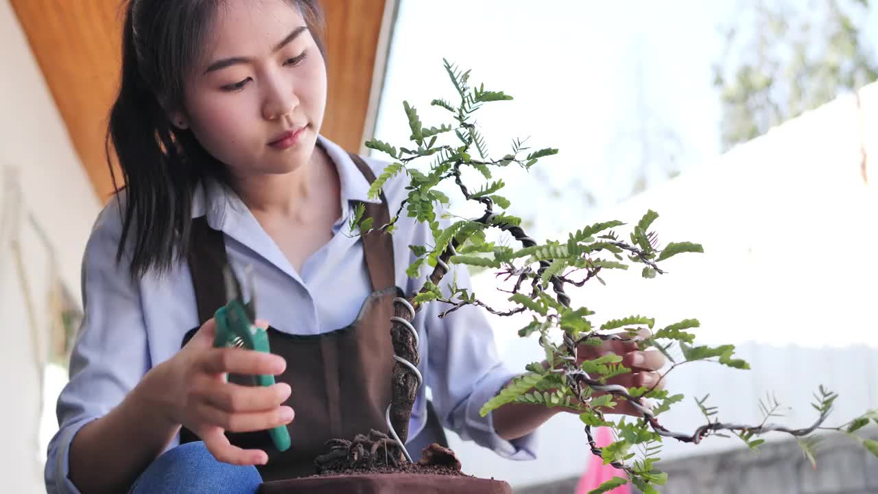 新冠肺炎疫情期间，亚洲女性在家休闲和种树。