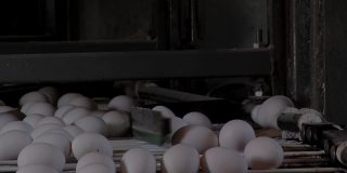 家禽养殖场，鲜鸡蛋自动移动输送机，工业鸡蛋生产线。关闭了。