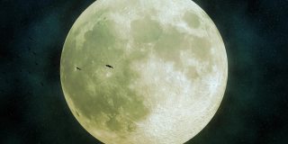 一群鸟儿在巨大的月亮前飞翔，背景是闪烁的星星