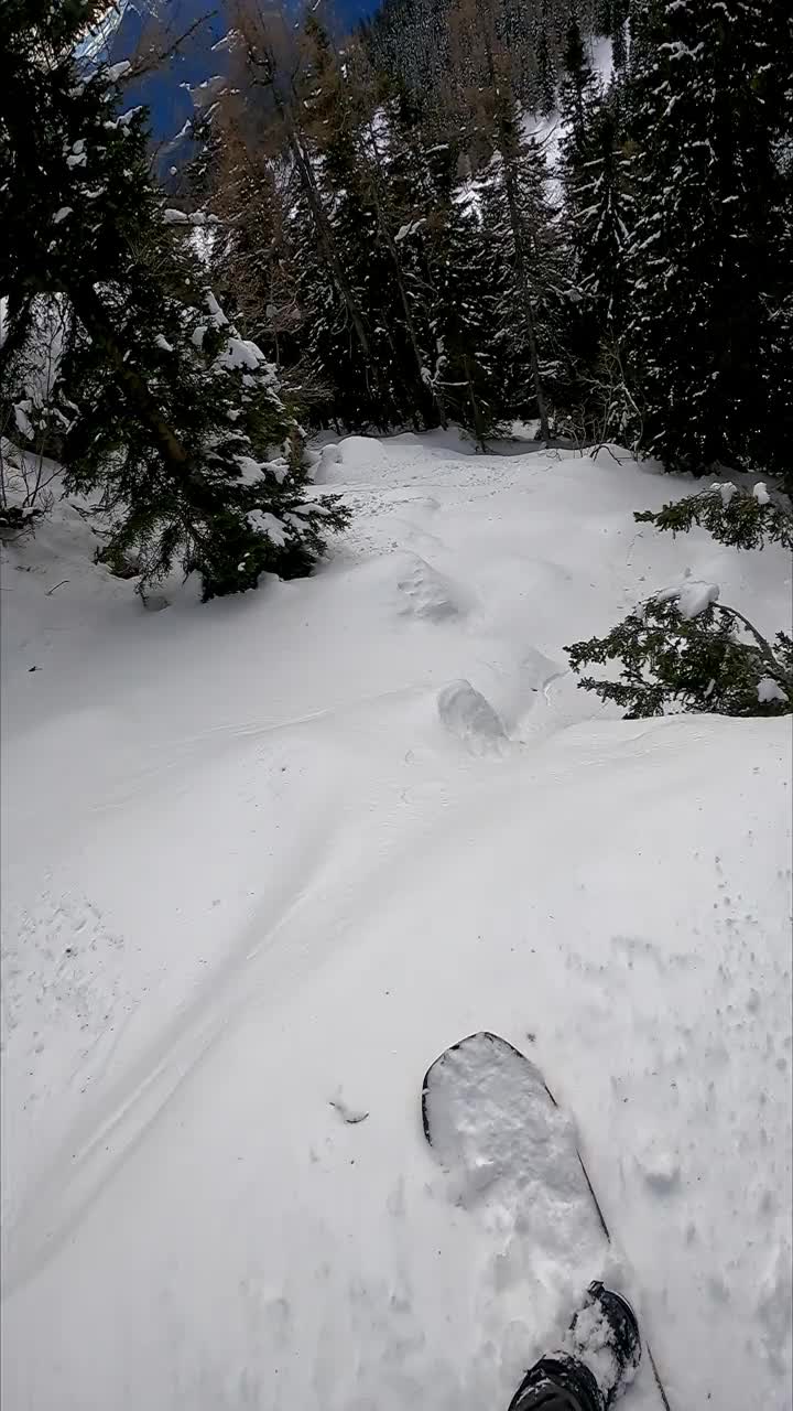 垂直视频POV拍摄的自由式滑雪板雕刻之间的树木在冰雪覆盖的森林