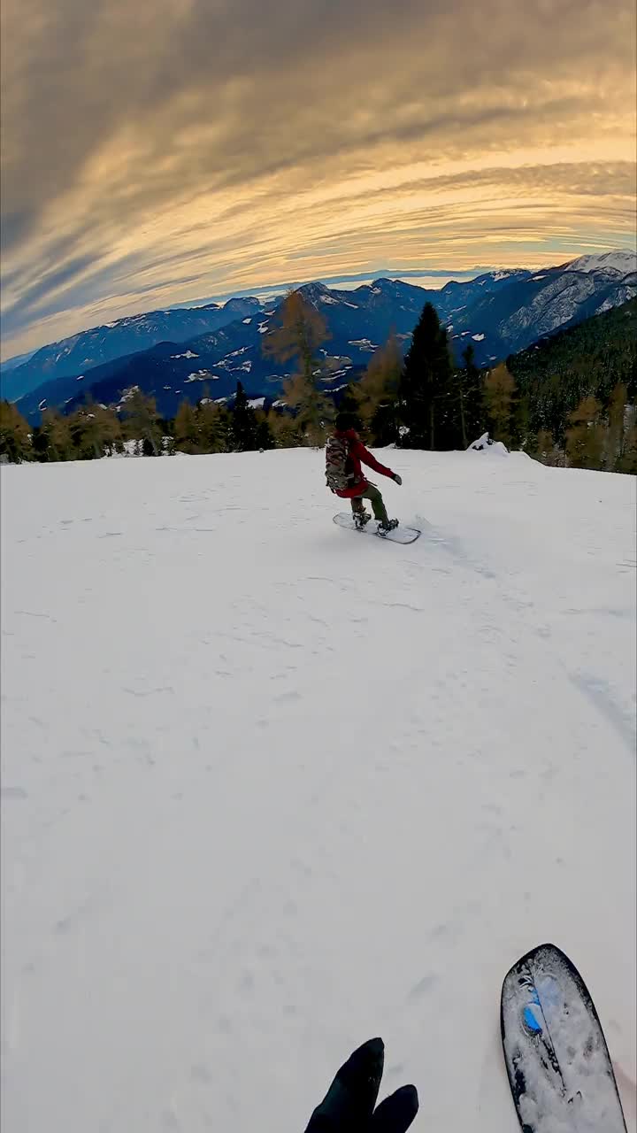 垂直视频POV拍摄的两个自由式滑雪运动员雕刻之间的树下的山