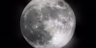 一群鸟在巨大的月亮前飞翔的剪影