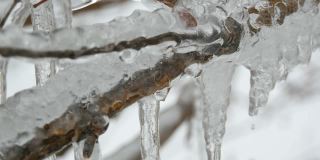 美丽的冰和正在融化的冰柱在树枝上