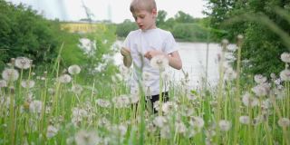 一个穿着白色t恤的男孩站在蒲公英的田野里，背景是含泪的草