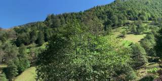 土耳其黑海地区(东北部)特拉布宗市Kayabasi山村附近高原上的高山、森林树木。