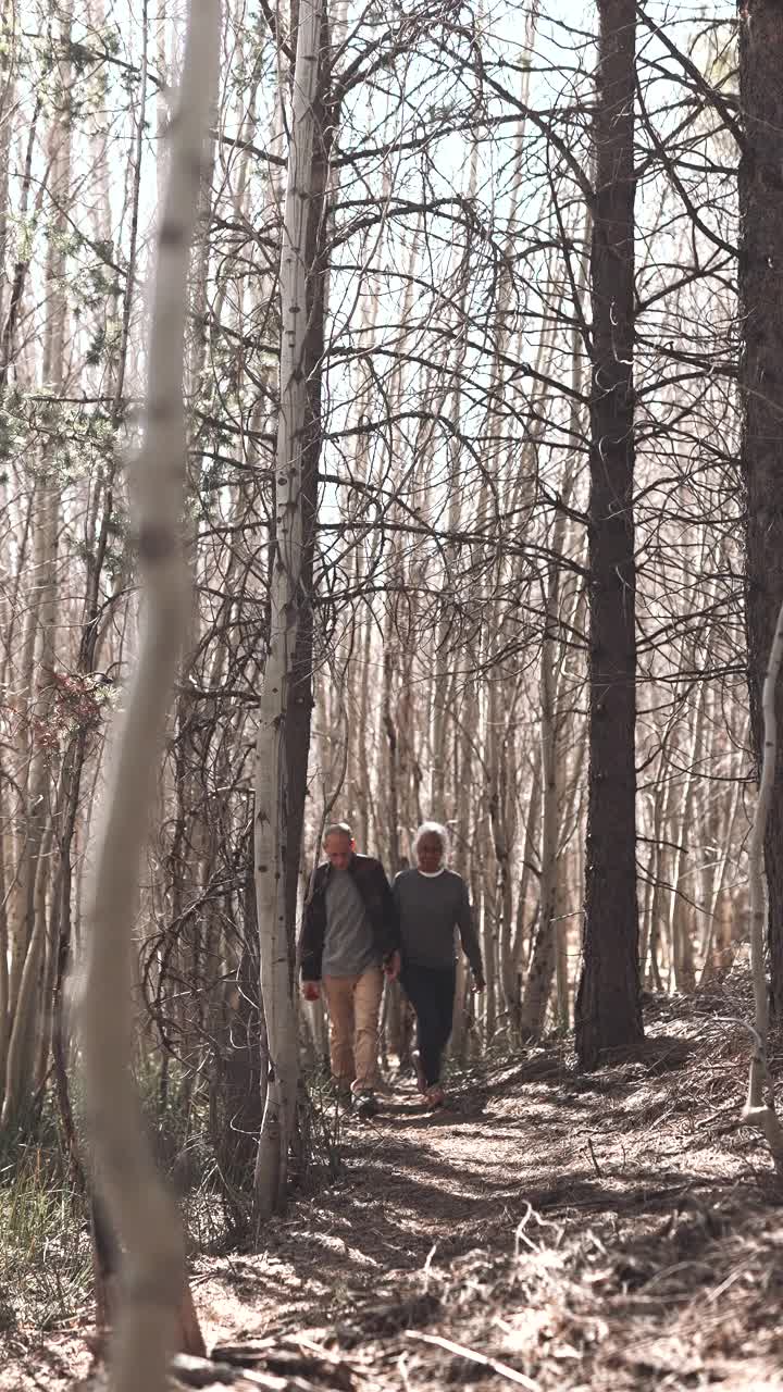 退休老人夫妇在自然径远足的垂直影像