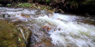 山区森林河流中湍急的水流