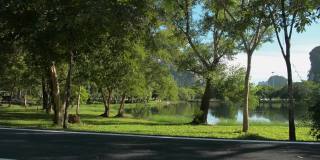 穿过柏油路，穿过草坪，来到公园里的天然池塘。晨光下，绿树成荫的公园里有小湖，景色优美。