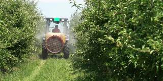 拖拉机向苹果园喷洒的慢动作视频