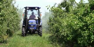 农民驾驶拖拉机和喷洒苹果园-慢动作视频