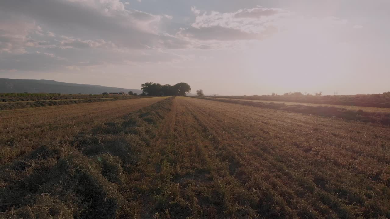 无人机低空飞过科罗拉多州西部一处刚割下的干草地