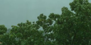 《城市风雨天气》4k慢镜头60帧