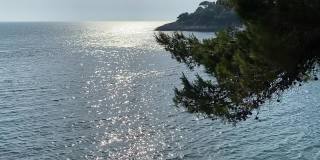 银色的海水在夏天波涛汹涌。密密麻麻的松枝越过大海。地平线上的热带岛屿。浪漫的银色的《暮光之城》。