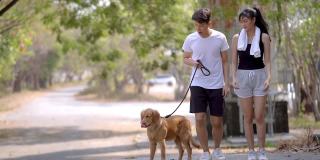 年轻男女穿着运动服跑步和遛狗。精力充沛的拉布拉多金毛猎犬幼犬在户外公园与人玩耍，美丽的树木。