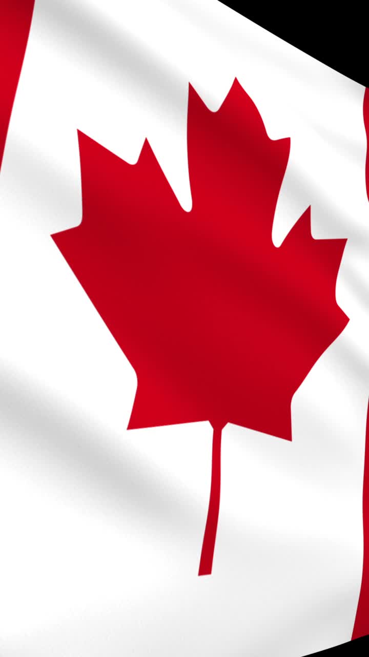 加拿大国旗飘扬，机场公告板，垂直视频