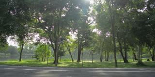 在早晨温暖的阳光下，马路上的公园风景优美，湖旁的草地上长着郁郁葱葱的树叶树。夏日美景。