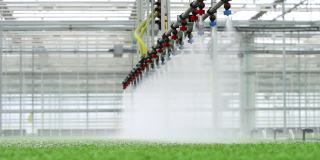 温室灌溉系统用于工业Spbd生产
