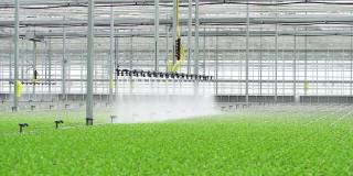 采用现代技术控制的温室水农业系统