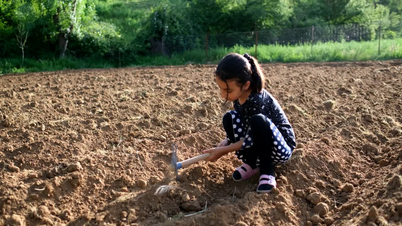 小女孩用锄头挖土